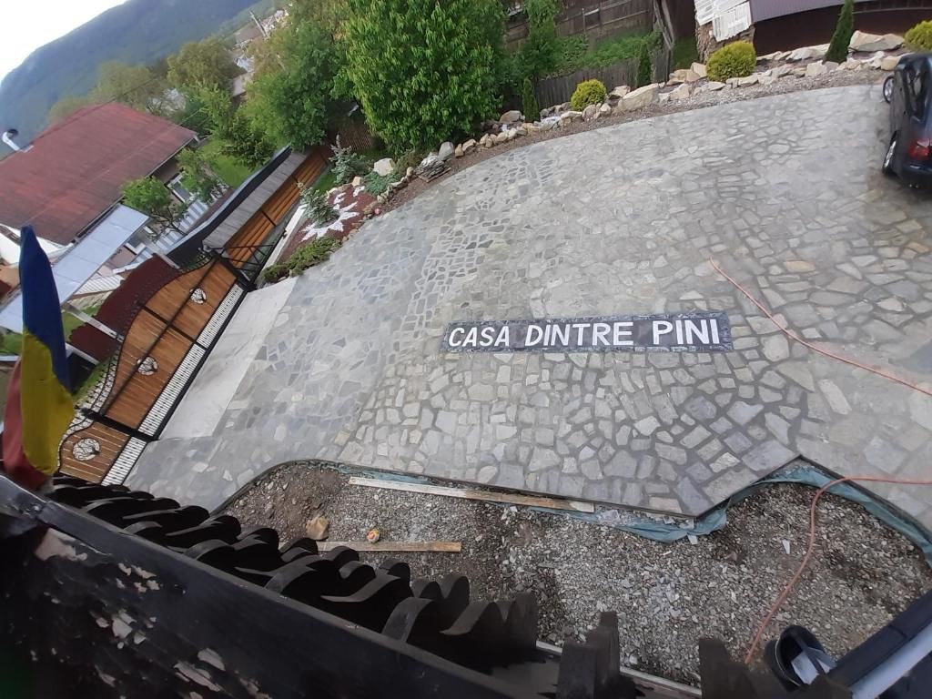 Дома для отпуска CASA DINTRE PINI Păltinoasa-104