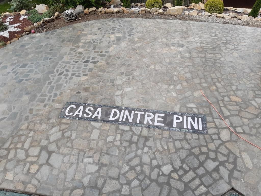 Дома для отпуска CASA DINTRE PINI Păltinoasa-106