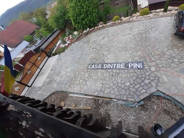 Дома для отпуска CASA DINTRE PINI Păltinoasa-103